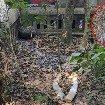 শরীয়তপুরেবিজয়ের মাসে বীর মুক্তিযোদ্ধার কবরে অগ্নিসংযোগ