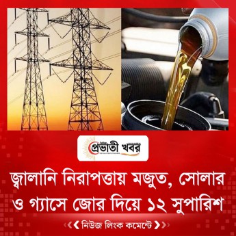 জ্বালানি নিরাপত্তায় মজুত, সোলার ও গ্যাসে জোর দিয়ে ১২ সুপারিশ