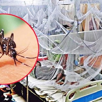 ২৪ ঘণ্টায় ডেঙ্গুতে আরও ৯ জনের মৃত্যু, হাসপাতালে ভর্তি ১৯০২ জন