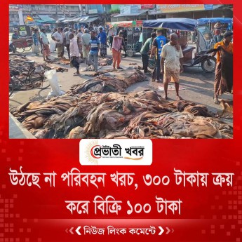 উঠছে না পরিবহন খরচ, ৩০০ টাকায় ক্রয় করে বিক্রি ১০০ টাকা
