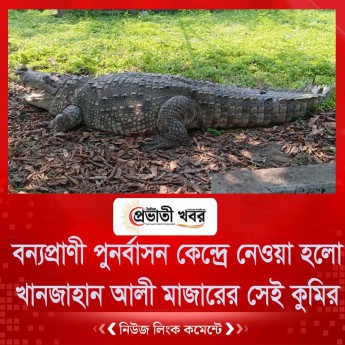 বন্যপ্রাণী পুনর্বাসন কেন্দ্রে নেওয়া হলো খানজাহান আলী মাজারের সেই কুমির
