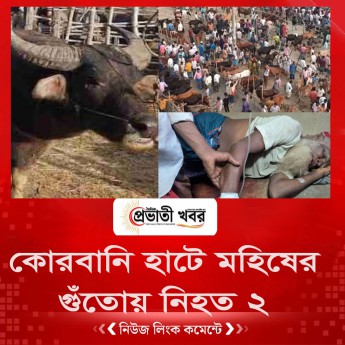 কোরবানি হাটে মহিষের গুঁতোয় নিহত ২