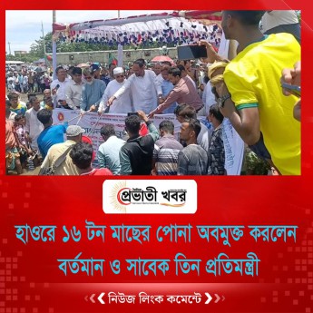 হাওরে ১৬ টন মাছের পোনা অবমুক্ত করলেন বর্তমান ও সাবেক তিন প্রতিমন্ত্রী