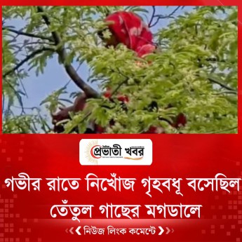 গভীর রাতে নিখোঁজ গৃহবধূ, উঠে বসেছিল তেঁতুল গাছের মগডালে