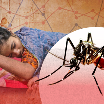 ডেঙ্গুতে একদিনে রেকর্ড ১০ জনের মৃত্যু, হাসপাতালে ভর্তি ১৯৯৬ জন