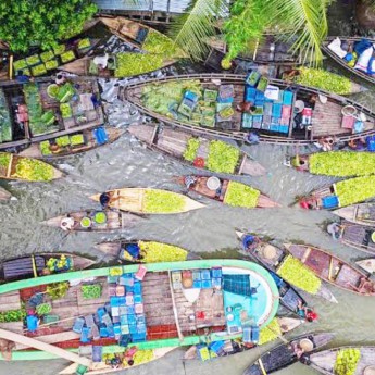 পিরোজপুরে পেয়ারা মৌসুমে খালপথে কৃষকের ব্যস্ততা