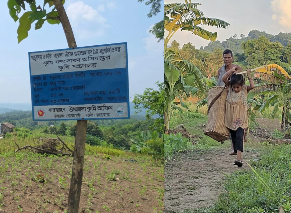 পাহাড়ের বুকে শত একর ফলদ বাগান, সেচের পানির তীব্র সংকটে কৃষকের স্বপ্ন