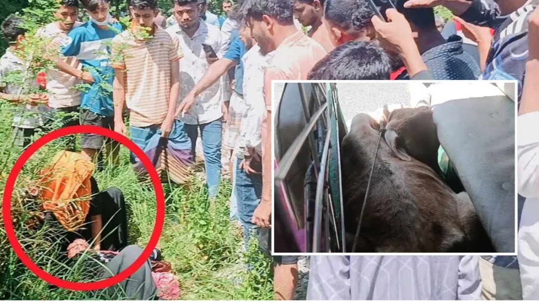 পটিয়ায় সিএনজিতে তুলে গরু চুরির চেষ্টা: হাতেনাতে আটক ২ নারী, পুরুষ সহযোগীরা পলাতক