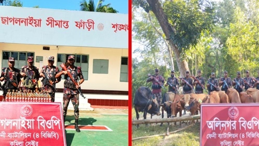 মিরসরাই ও ছাগলনাইয়া সীমান্তে বিজিবির সাঁড়াশি অভিযান, ৫০টি ভারতীয় গরু ও বিপুল পরিমাণ মদ জব্দ