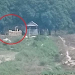চাঁপাইনবাবগঞ্জের ভোলাহাট সীমান্তে বিএসএফের বাঙ্কার নির্মাণ