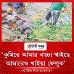 ‘কুমিরে আমার বাচ্চা খাইছে আমারেও খাইয়া ফেলুক’
