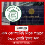 এক কোম্পানিই নিতে পারবে  ২০০ কোটি টাকা ঋণ