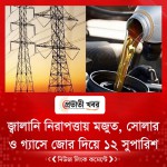 জ্বালানি নিরাপত্তায় মজুত, সোলার ও গ্যাসে জোর দিয়ে ১২ সুপারিশ