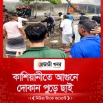 কাশিয়ানীতে আগুনে  দোকান পুড়ে ছাই
