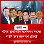 সাইবার সুরক্ষা আইন সংশোধনে ৬ সদস্যের কমিটি, সদস্য হলেন তথ্য প্রতিমন্ত্রী
