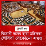 বিরোধী দলের ছায়া মন্ত্রিসভা ঘোষণা যেকোনো সময়