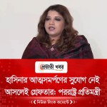 হাসিনার আত্মসমর্পণের সুযোগ নেই, আসলেই গ্রেফতার: পররাষ্ট্র প্রতিমন্ত্রী