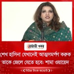 শেখ হাসিনা যেখানেই আত্মসমর্পণ করুক তাকে আগে জেলে যেতে হবে: শামা ওয়ায়েদ