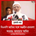 বিএনপি জাতির সঙ্গে অন্তহীন প্রতারণা করেছে: জামায়াত আমির