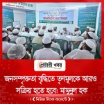 জনসম্পৃক্ততা বৃদ্ধিতে তৃণমূলকে আরও সক্রিয় হতে হবে: মামুনুল হক