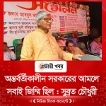 অন্তর্বর্তীকালীন সরকারের আমলে সবাই জিম্মি ছিল : সুব্রত চৌধুরী