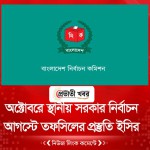 অক্টোবরে স্থানীয় সরকার নির্বাচন, আগস্টে তফসিলের প্রস্তুতি ইসির