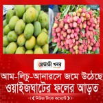 আম-লিচু-আনারসে জমে উঠেছে ওয়াইজঘাটের ফলের আড়ত