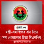 মন্ত্রী-এমপিদের বাদ দিয়ে দল গোছানোর চিন্তা বিএনপির
