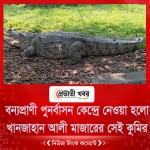 বন্যপ্রাণী পুনর্বাসন কেন্দ্রে নেওয়া হলো খানজাহান আলী মাজারের সেই কুমির