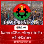 ডিসেম্বরে কাউন্সিলের পরিকল্পনা বিএনপির