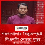 শরণখোলায় বিদ্যুৎস্পৃষ্টে নিএনপি নেতার মৃত্যু