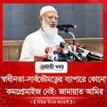 স্বাধীনতা-সার্বভৌমত্বের ব্যাপারে কোনো কমপ্রোমাইজ নেই: জামায়াত আমির