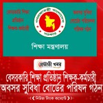 বেসরকারি শিক্ষা প্রতিষ্ঠান শিক্ষক-কর্মচারী  অবসর সুবিধা বোর্ডের পরিচালনা পরিষদ গঠন