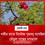 গভীর রাতে নিখোঁজ গৃহবধূ, উঠে বসেছিল তেঁতুল গাছের মগডালে