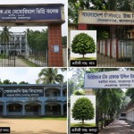 দেওয়ানগঞ্জে ১৬টি গাছ নিলামে বিক্রি
