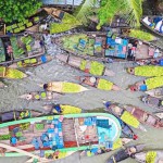 পিরোজপুরে পেয়ারা মৌসুমে খালপথে কৃষকের ব্যস্ততা