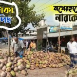 বাগেরহাটে সবুজ নারকেলে বাড়ছে লাভ