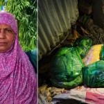 দেবিদ্বারে বাড়ির মালিক খুন, ৯ প্যাকেটে খণ্ডিত লাশ