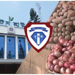 কাস্টমস-রপ্তানি জালিয়াতিতে মামলার জট